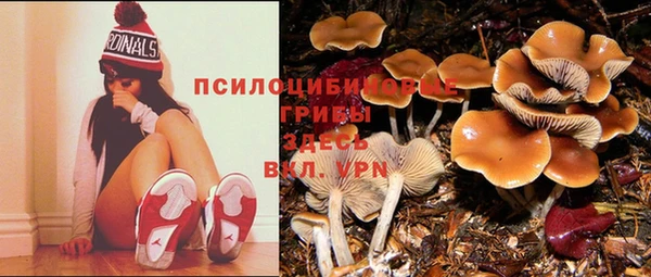молекула духа Беломорск