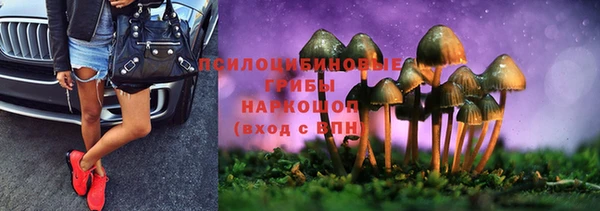 jwh Белокуриха
